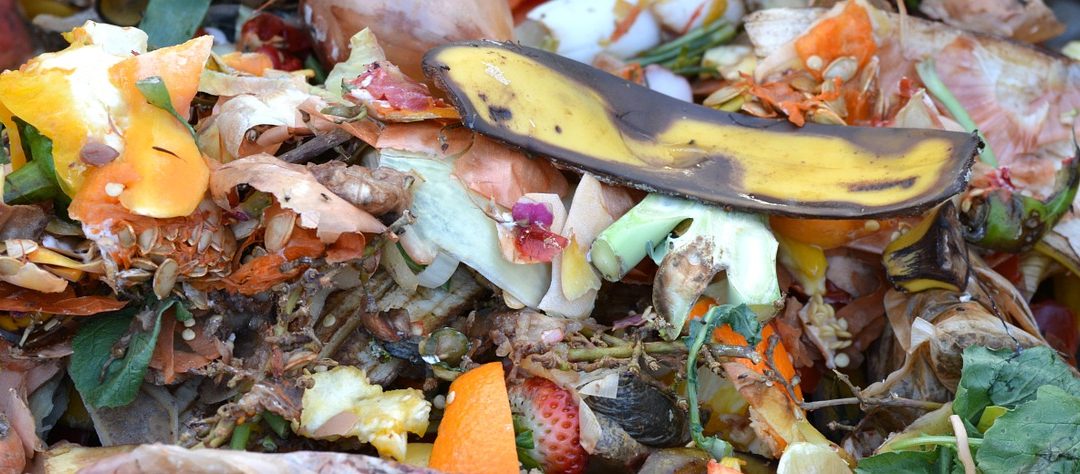 Anmälan för kompostering av matavfall